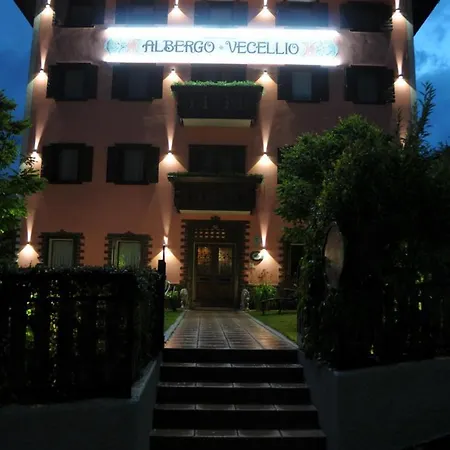 ホテル Vecellio アウロンツォ・ディ・カドーレ